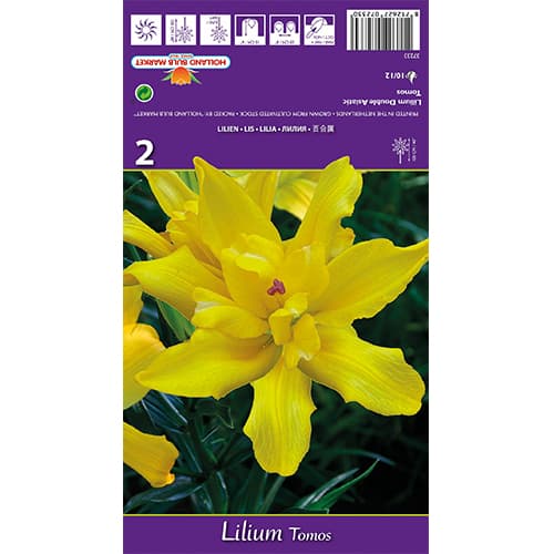 Lilie Tomos interface.art Bild 1 Lilie Tomos interface.image 1 interface.art 77839