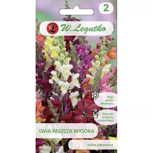 Löwenmäulchen hoch Mischung interface.image 1 interface.art 78576