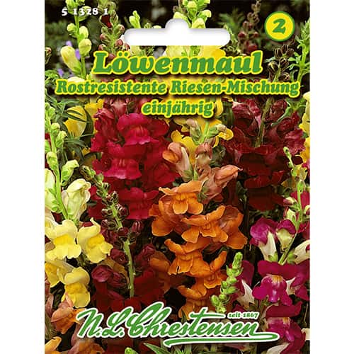 Löwenmaul Riesen Mischung interface.image 1 interface.art 86118