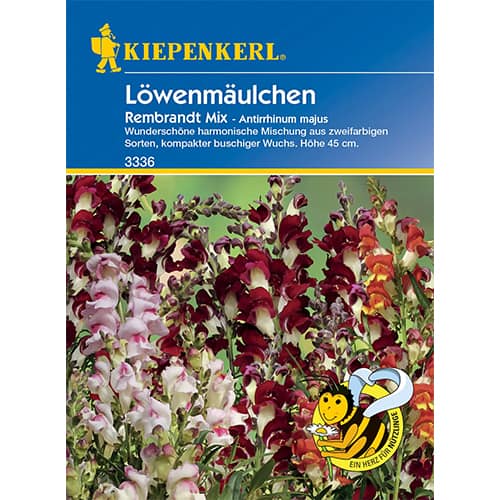 Löwenmäulchen Rembrandt Mix interface.image 1 interface.art 86286