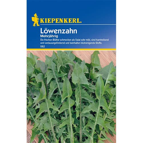 Löwenzahn Mehrjährig interface.art Bild 1 Löwenzahn Mehrjährig interface.image 1 interface.art 77491