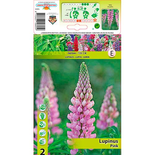 Lupine Pink interface.image 1 interface.art 76326