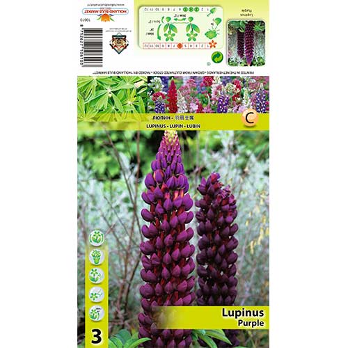 Lupine Purple interface.image 1 interface.art 70440