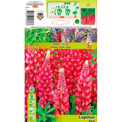 Lupine Red interface.image 1 interface.art 76327