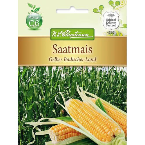 Saatmais Gelber Badischer Land interface.art Bild 1 Saatmais Gelber Badischer Land interface.image 1 interface.art 78883