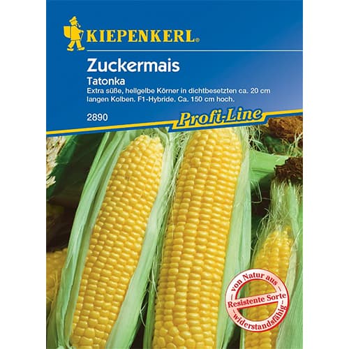 Zuckermais Tatonka interface.art Bild 1 Zuckermais Tatonka interface.image 1 interface.art 86561