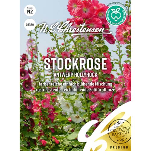 Stockrose Antwerp Hollyhock interface.image 1 interface.art 86197