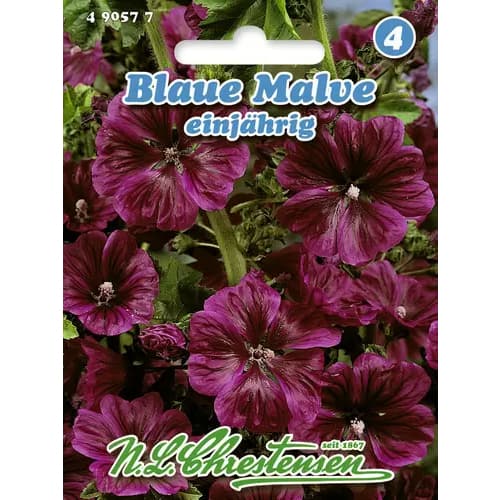 Malve einjährig interface.image 1 interface.art 96403