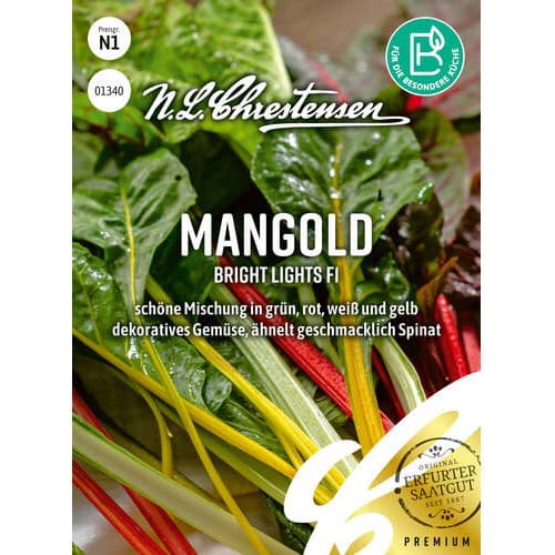 Mangold Bright Lights F1 interface.image 1 interface.art 87845