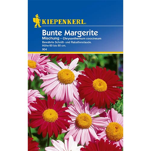 Bunte Margerite Mischung interface.art Bild 1 Bunte Margerite Mischung interface.image 1 interface.art 96560