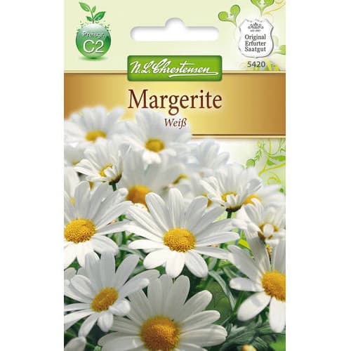 Margerite Weiss interface.image 1 interface.art 78972