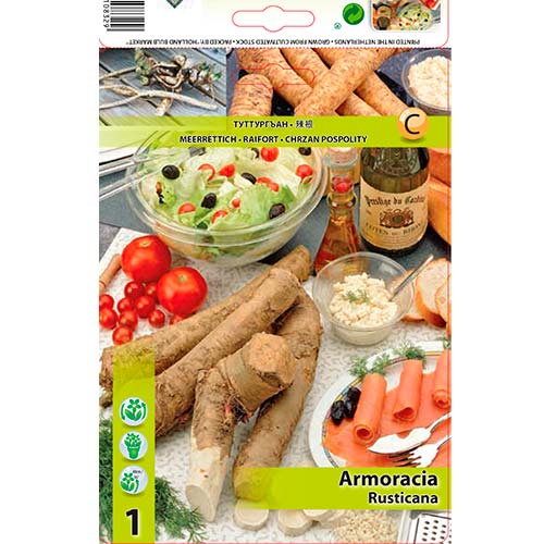 Meerrettich (Armoracia) interface.art Bild 1 Meerrettich (Armoracia) interface.image 1 interface.art 70503