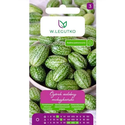 Mexikanische Ziergurke Legutko interface.art Bild 1 Mexikanische Ziergurke Legutko interface.image 1 interface.art 69614