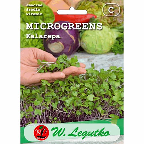 Microgreen - Kohlrabi interface.art Bild 1 Microgreen - Kohlrabi interface.image 1 interface.art 78687