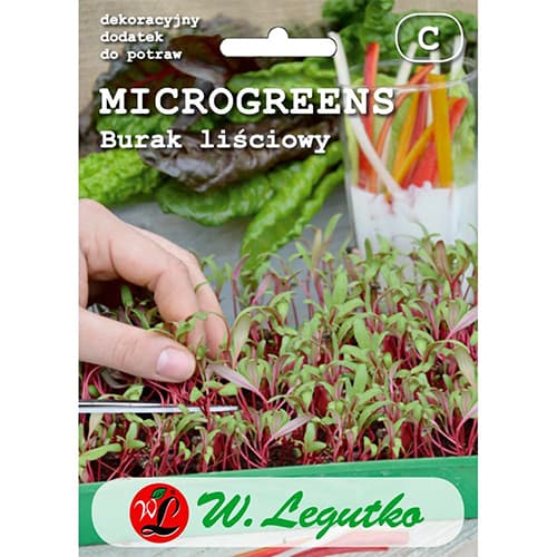 Microgreen - Mangold interface.art Bild 1 Microgreen - Mangold interface.image 1 interface.art 78680