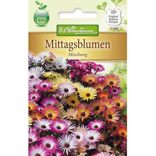 Mittagsblume Mischung interface.art Bild 1 Mittagsblume Mischung interface.image 1 interface.art 78923