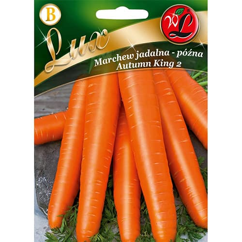 Möhre Autumn King 2 interface.art Bild 1 Möhre Autumn King 2 interface.image 1 interface.art 78675