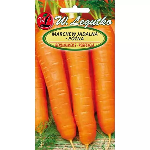 Möhre Berlikumer 2 interface.art Bild 1 Möhre Berlikumer 2 interface.image 1 interface.art 78483