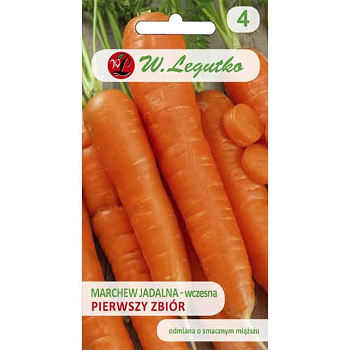 Möhre Erste Sammlung interface.art Bild 1 Möhre Erste Sammlung interface.image 1 interface.art 69492