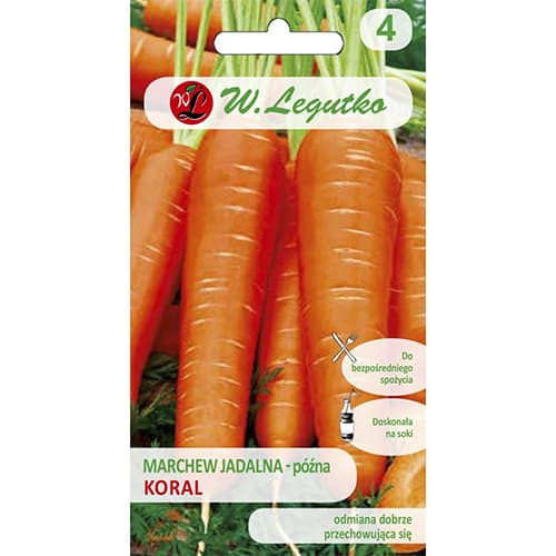 Möhre Koral interface.art Bild 1 Möhre Koral interface.image 1 interface.art 86871