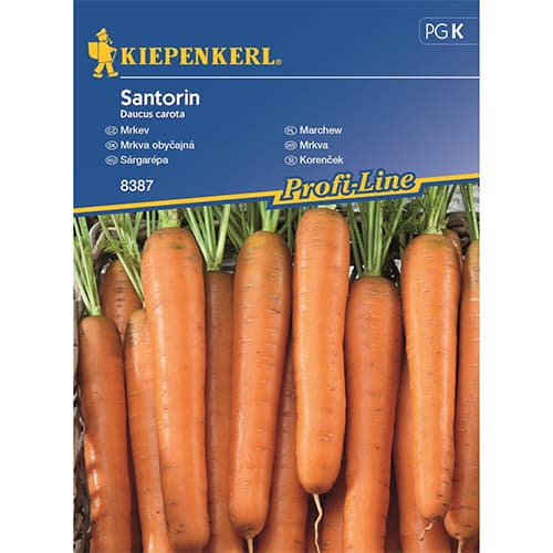 Möhre Santorin F1 interface.art Bild 1 Möhre Santorin F1 interface.image 1 interface.art 87789