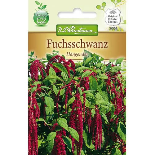 Fuchsschwanz Hängender (Amaranthus) interface.art Bild 1 Fuchsschwanz Hängender (Amaranthus) interface.image 1 interface.art 78887