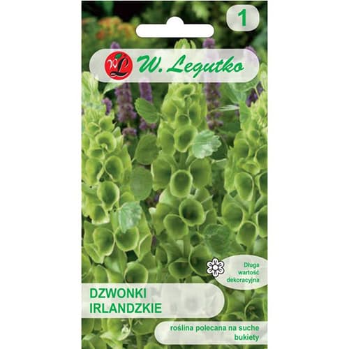 Muschelblume interface.art Bild 1 Muschelblume interface.image 1 interface.art 87858