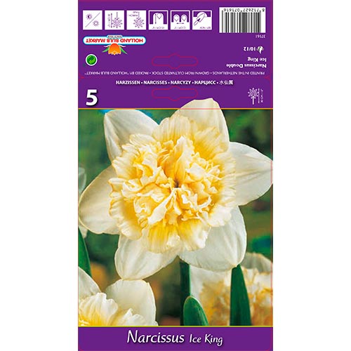 Narzisse Ice King interface.image 1 interface.art 67415