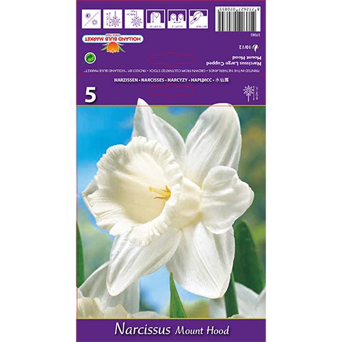 Narzisse Mount Hood interface.image 1 interface.art 70214