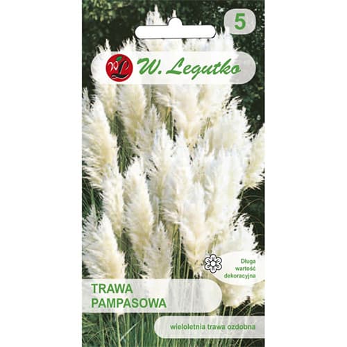 Pampasgras weiss interface.image 1 interface.art 69634