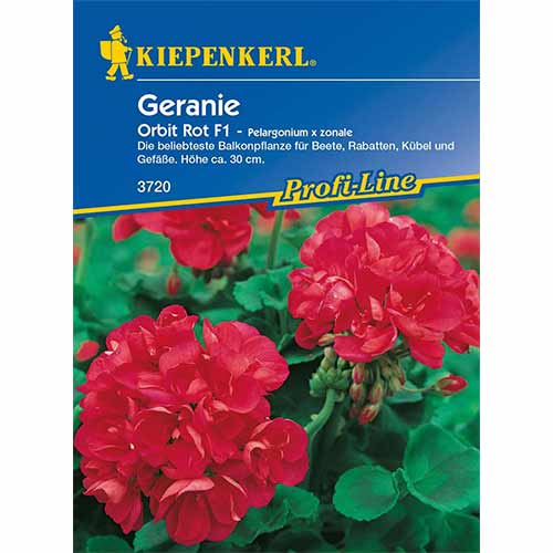 Geranie Orbit Rot F1 interface.image 1 interface.art 96536