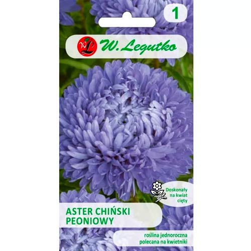 Peonienaster blau Legutko interface.image 1 interface.art 78527