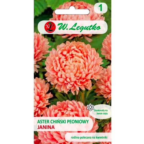 Peonienaster Janina hellrosa Legutko interface.image 1 interface.art 78522