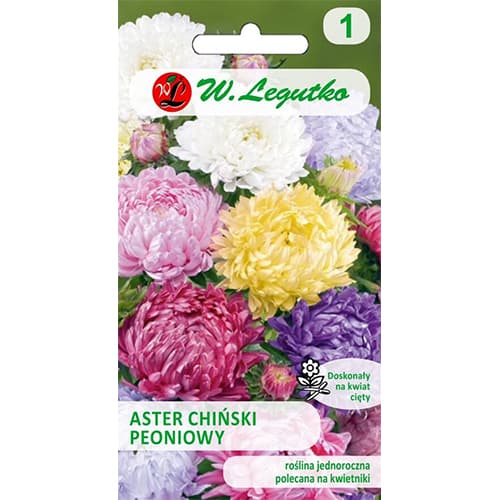 Peonienaster Mischung Legutko interface.image 1 interface.art 78529