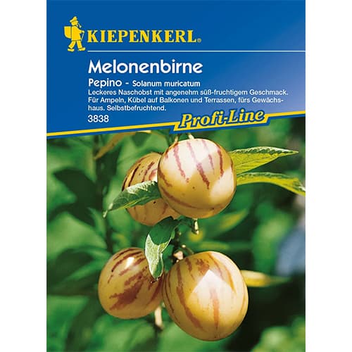 Melonenbirne Pepino interface.art Bild 1 Melonenbirne Pepino interface.image 1 interface.art 86478