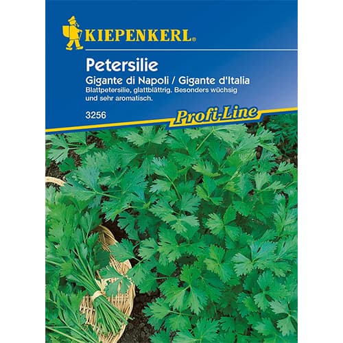 Petersilie Gigante di Napoli interface.art Bild 1 Petersilie Gigante di Napoli interface.image 1 interface.art 96644