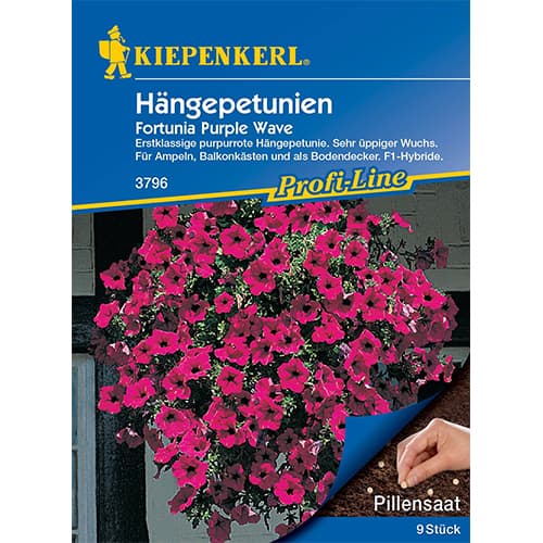 Petunie Fortunia Purple Wave F1 Kiepenkerl interface.art Bild 1 Petunie Fortunia Purple Wave F1 Kiepenkerl interface.image 1 interface.art 50060
