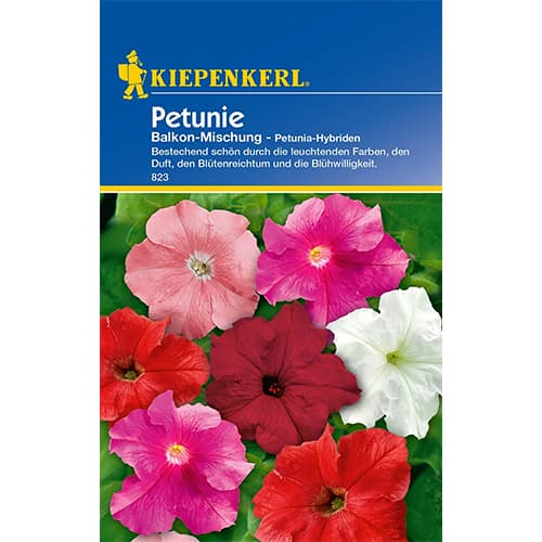 Petunie Balkonmischung interface.image 1 interface.art 86298