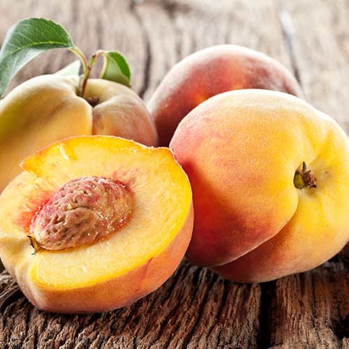 Pfirsich Fayette interface.image 1 interface.art 4293