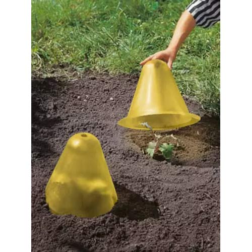 Pflanzenschutzhaube interface.art Bild 1 Pflanzenschutzhaube interface.image 1 interface.art 96979