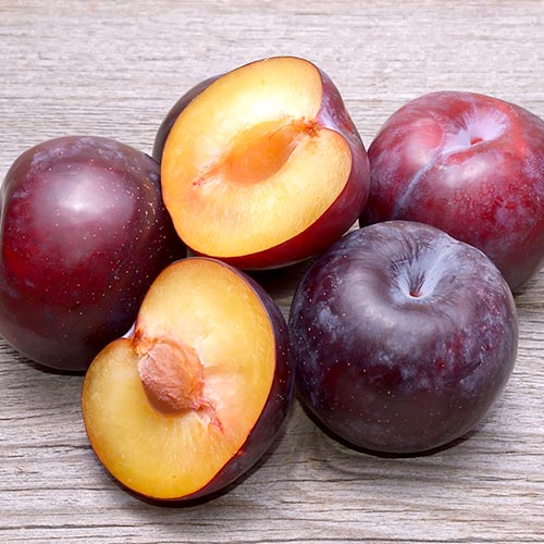 Pflaume Angeleno, C2 interface.image 1 interface.art 9687