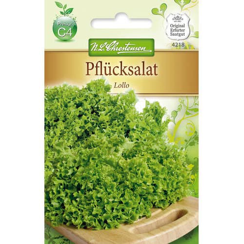 Pflücksalat Lollo interface.image 1 interface.art 78778