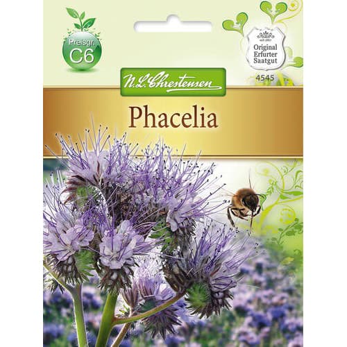 Phacelia Chrestensen interface.art Bild 1 Phacelia Chrestensen interface.image 1 interface.art 78879