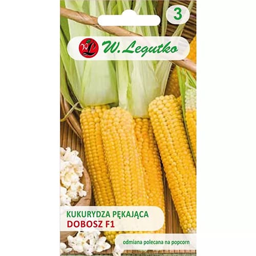 Popcornmais Dobosz F1 interface.art Bild 1 Popcornmais Dobosz F1 interface.image 1 interface.art 78481