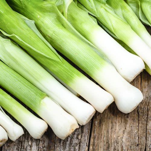 Porree Elefant Kiepenkerl interface.image 1 interface.art 50020