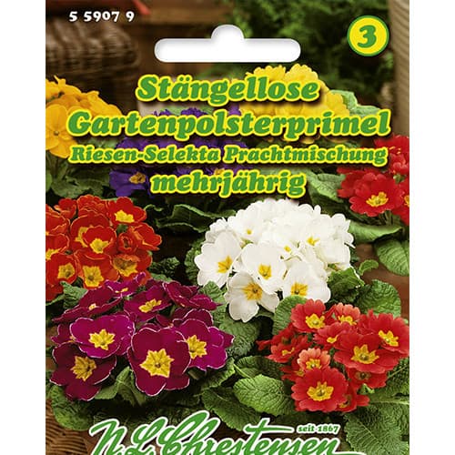 Primeln stammlos, mix interface.image 1 interface.art 86181