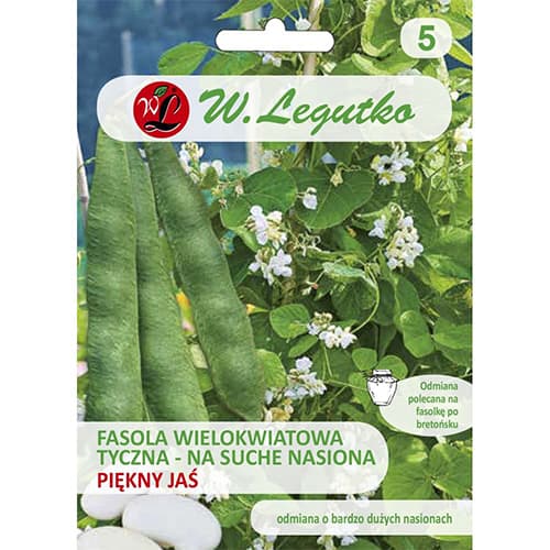 Prunkbohne Piękny Jaś interface.art Bild 1 Prunkbohne Piękny Jaś interface.image 1 interface.art 86854