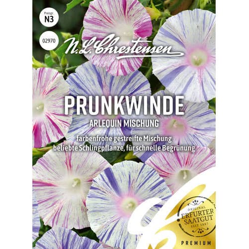 Prunkwinde Arlequin Mischung interface.art Bild 1 Prunkwinde Arlequin Mischung interface.image 1 interface.art 87815