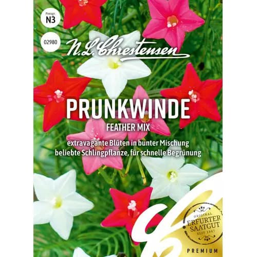 Prunkwinde Feather Mix interface.art Bild 1 Prunkwinde Feather Mix interface.image 1 interface.art 87816