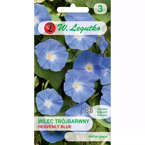 Prunkwinde Heavenly Blue interface.image 1 interface.art 78595